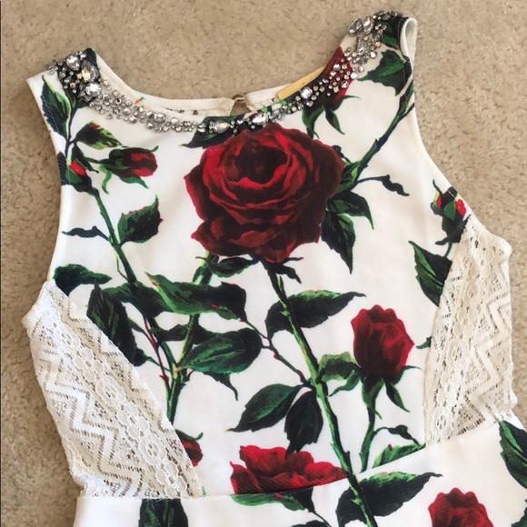 ✨SALE✨Rose and Lace Sparkly Minidress 🌹💎 - Picture 2 of 8